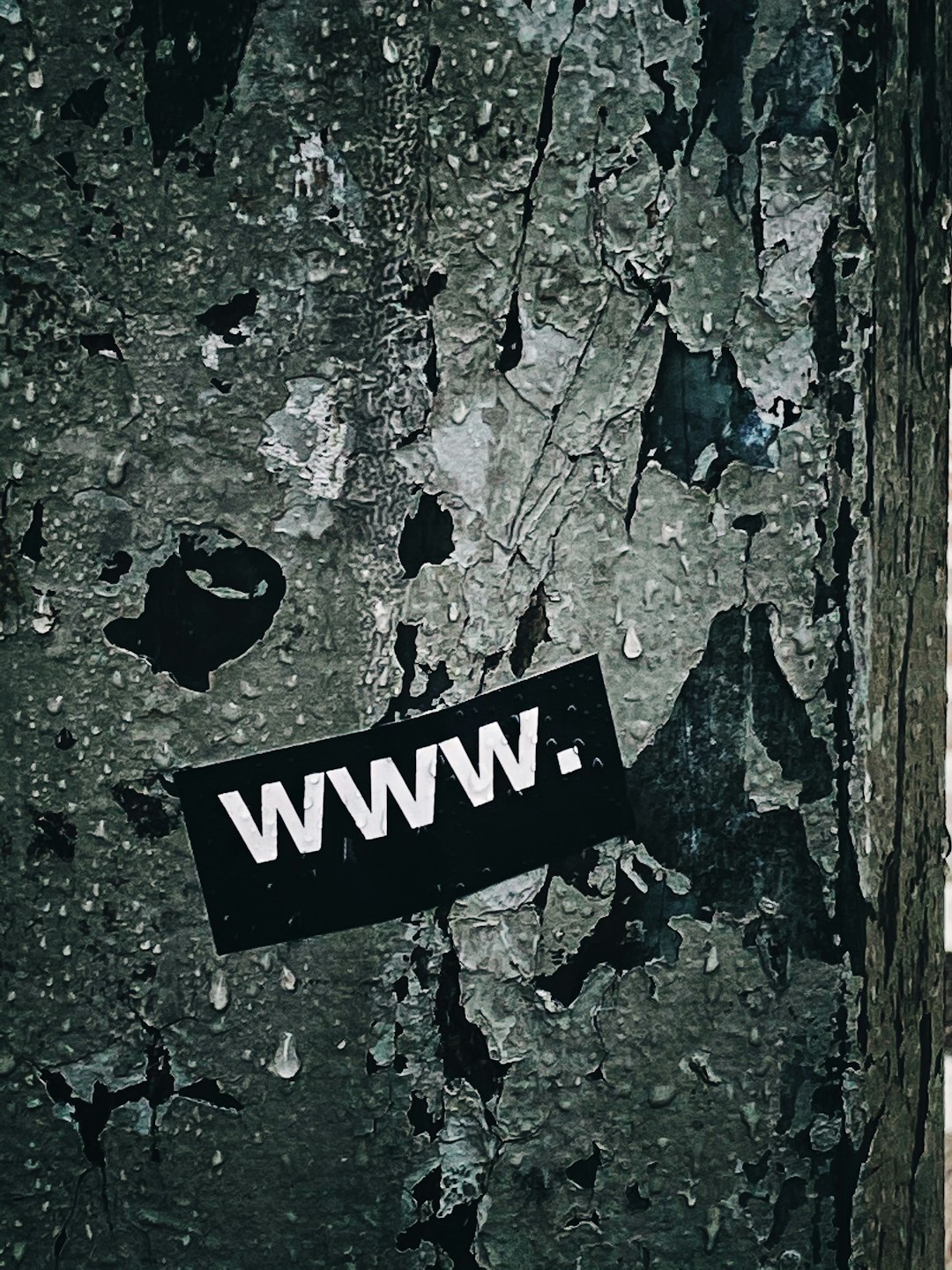 Read more about the article The World of Buying and Selling Web Businesses: The Resell Rights Advantage