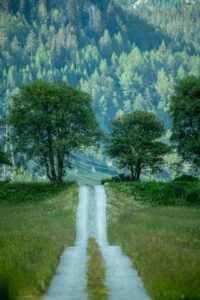 Read more about the article Beyond People-Pleasing: A Human-Centered Playbook for Setting Healthy Boundaries (and Actually Sticking to Them)